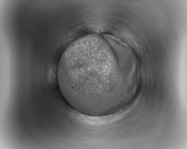 X0000096970030200802221413