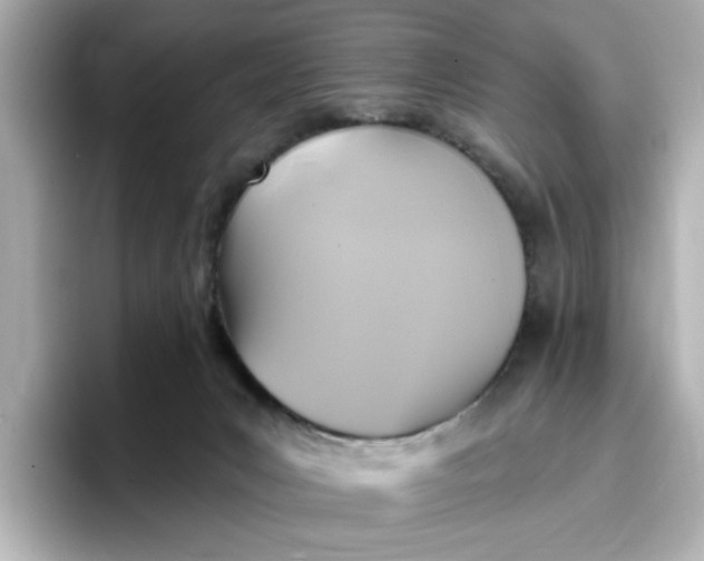 X0000096970031200802221413