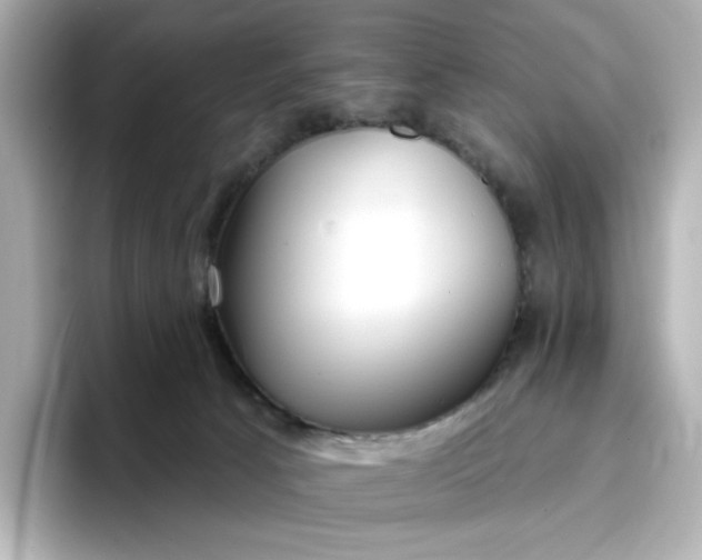 X0000096970033200802221412