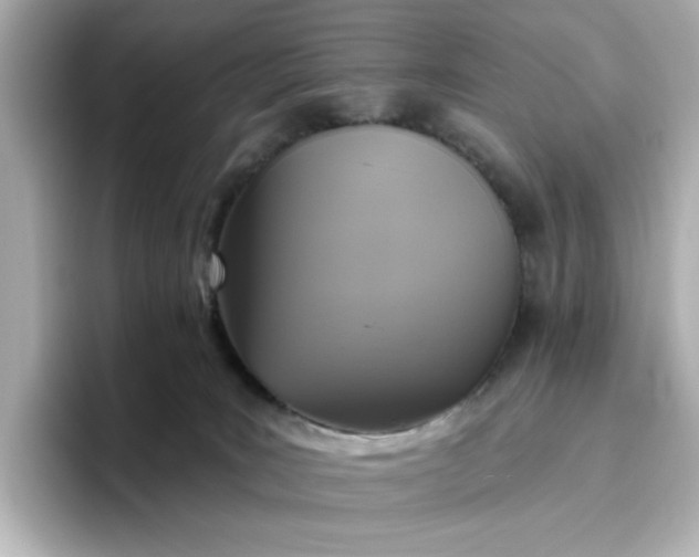 X0000096970035200802221412