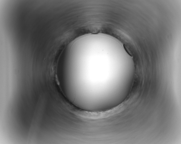 X0000096970037200802221412