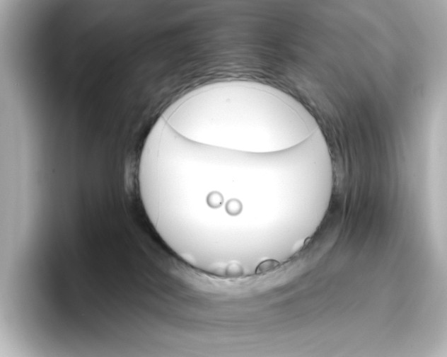 X0000096970038200802221412