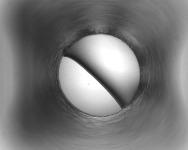 X0000096970039200802221412