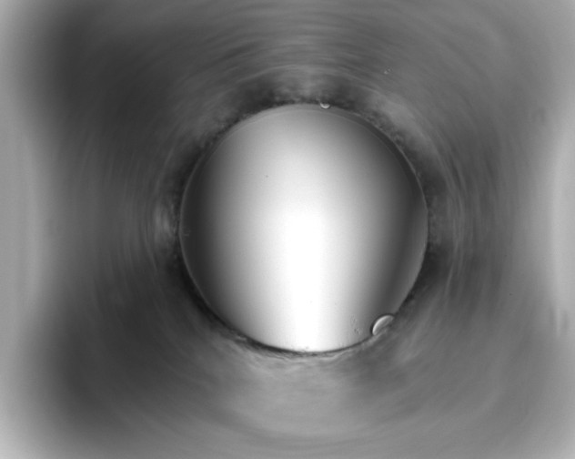 X0000096970040200802221412