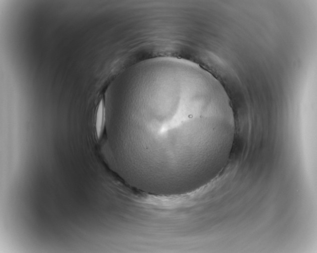 X0000096970041200802221412