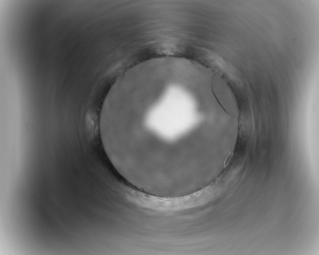 X0000096970043200802221412