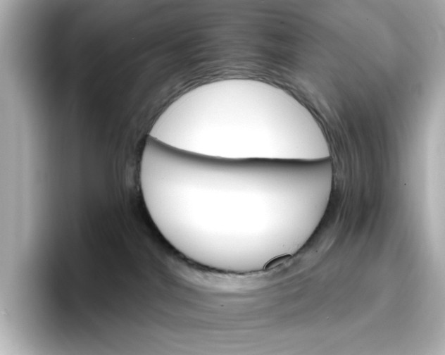 X0000096970044200802221412