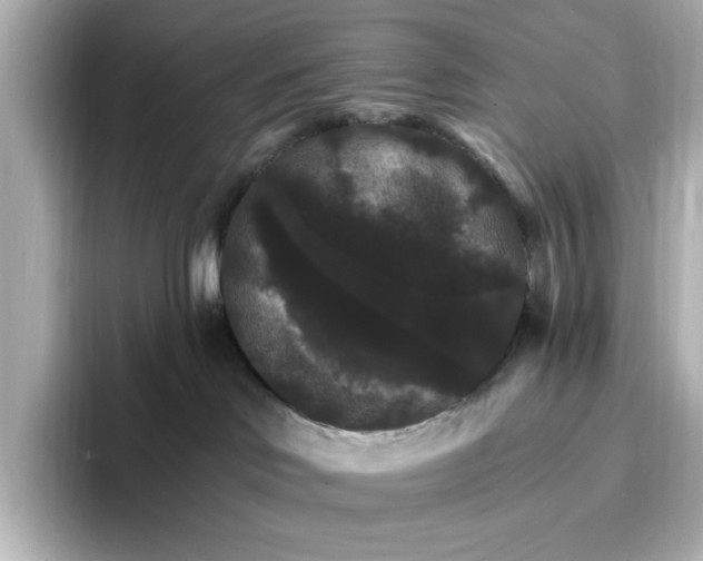 X0000096970046200802221412