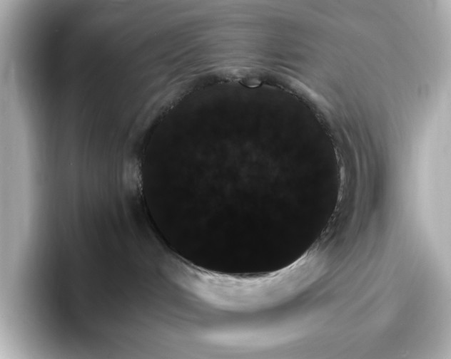 X0000096970048200802221412