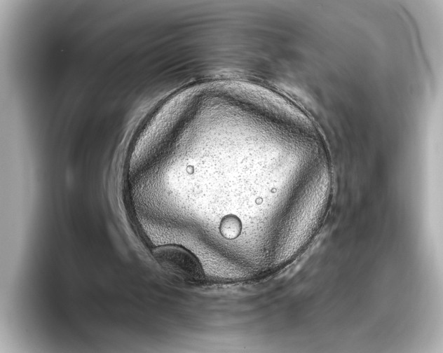 X0000096970049200802221412