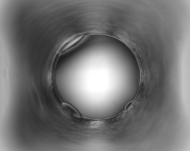 X0000096970050200802221412