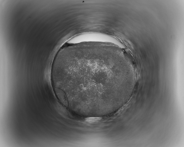 X0000096970051200802221412