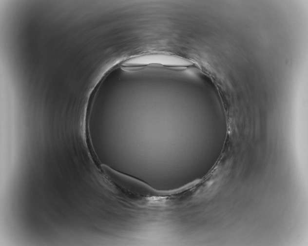 X0000096970052200802221412