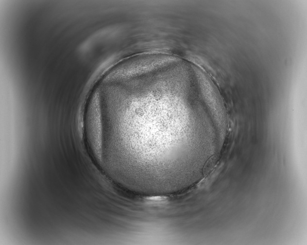 X0000096970053200802221412