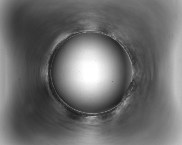 X0000096970054200802221412