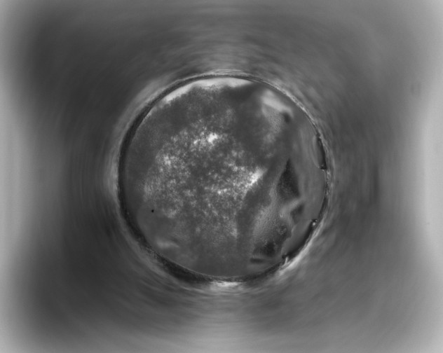 X0000096970055200802221412