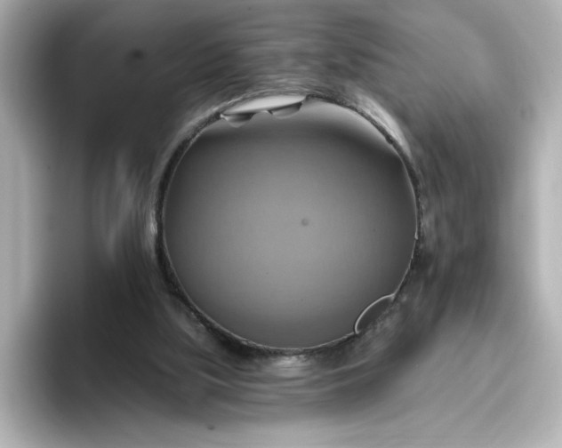 X0000096970059200802221412