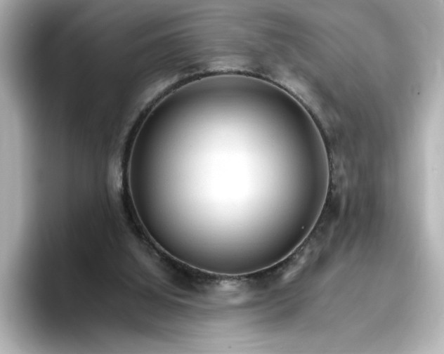 X0000096970060200802221412