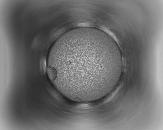 X0000096970061200802221412