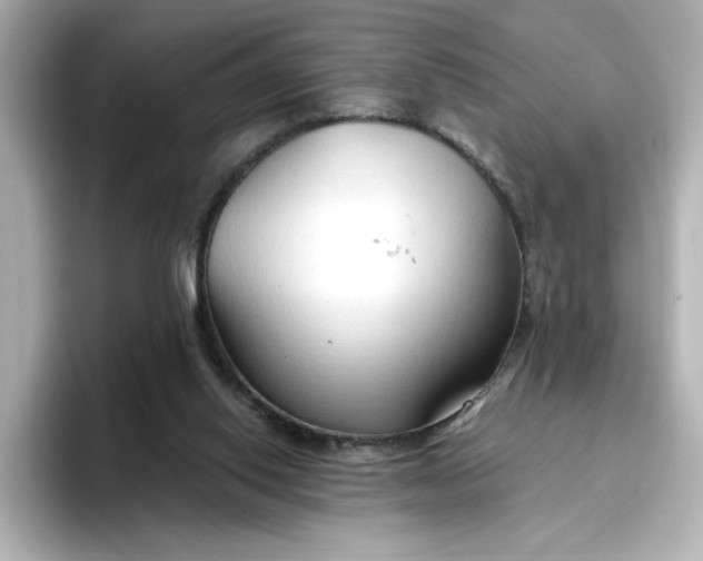 X0000096970062200802221412