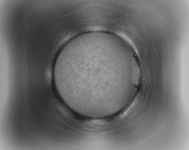 X0000096970063200802221412