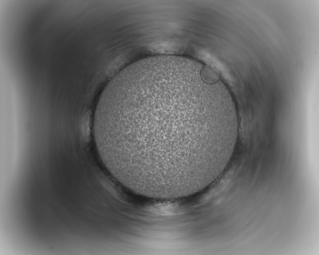 X0000096970065200802221412