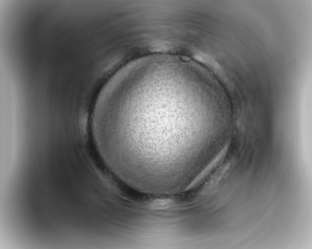 X0000096970066200802221412