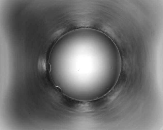 X0000096970068200802221412