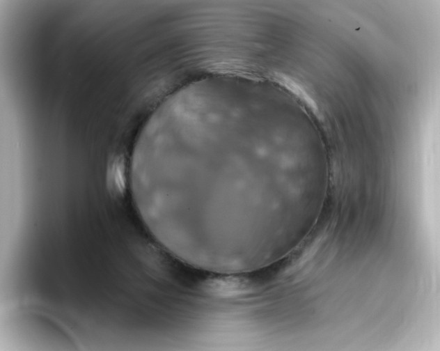 X0000096970069200802221412