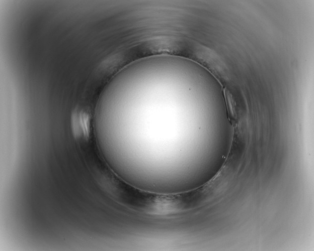 X0000096970070200802221412