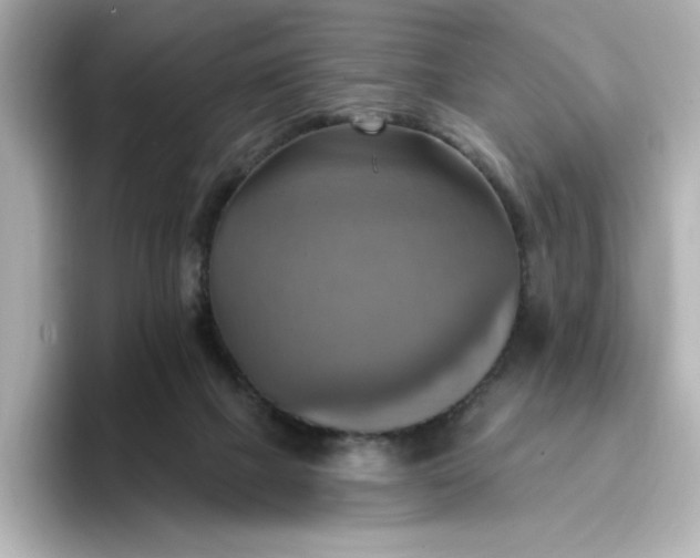 X0000096970073200802221412