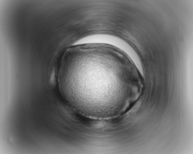 X0000096970074200802221412