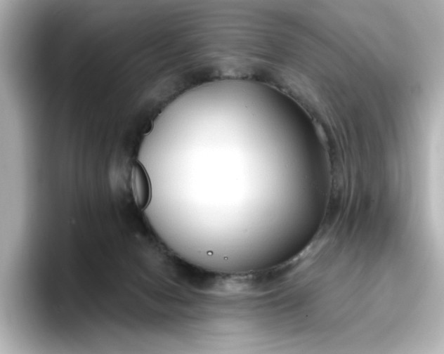 X0000096970078200802221412