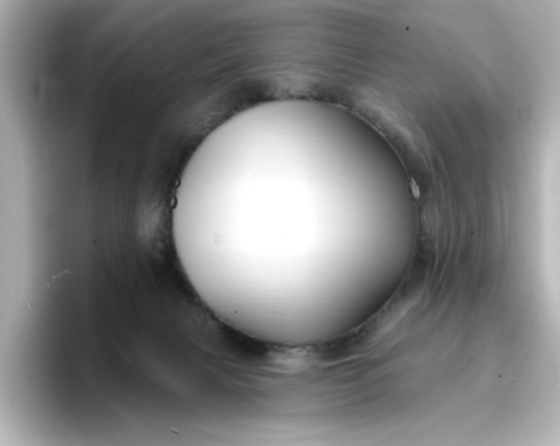 X0000096970079200802221412