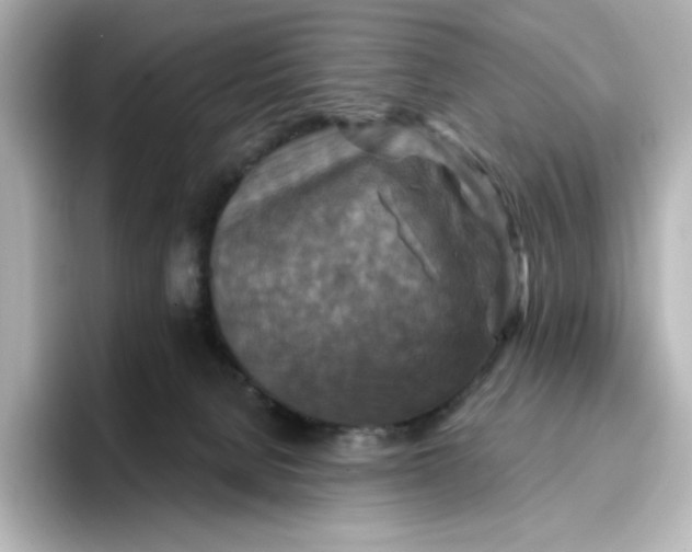 X0000096970080200802221412