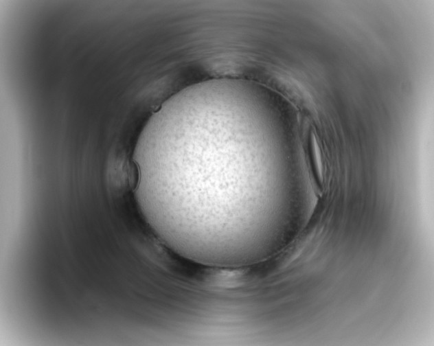 X0000096970081200802221412