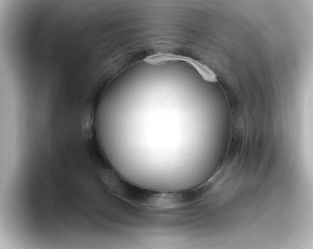 X0000096970082200802221412