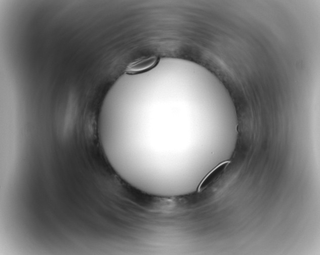 X0000096970083200802221412