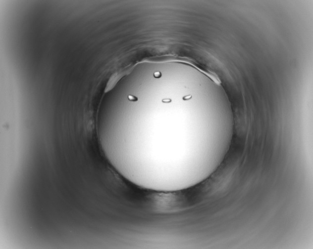 X0000096970085200802221412