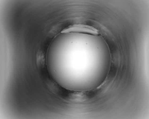 X0000096970086200802221412