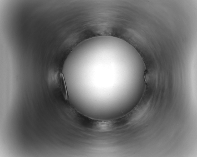 X0000096970088200802221412