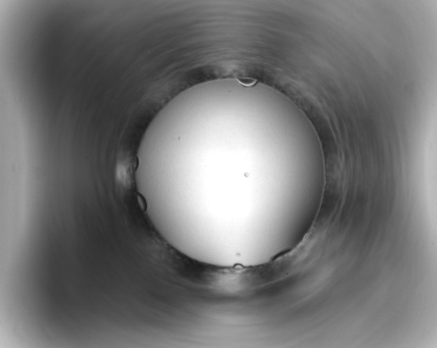 X0000096970090200802221412