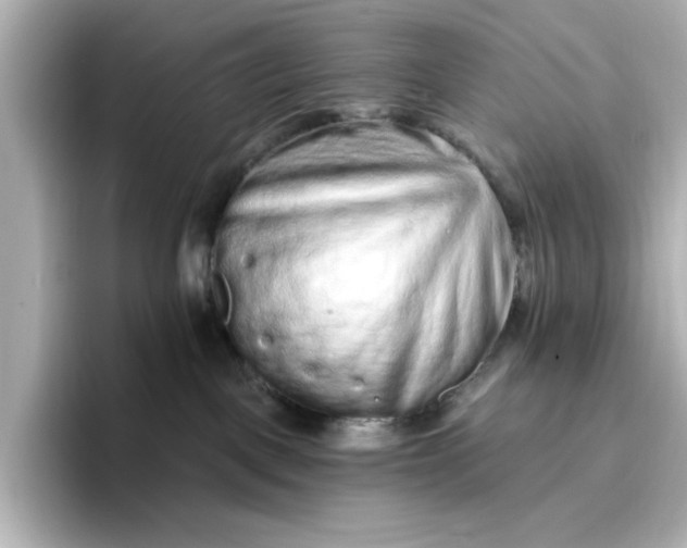 X0000096970093200802221412