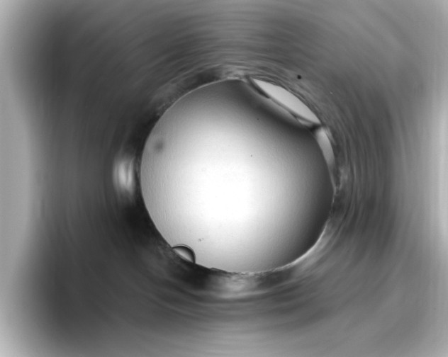 X0000096970094200802221412