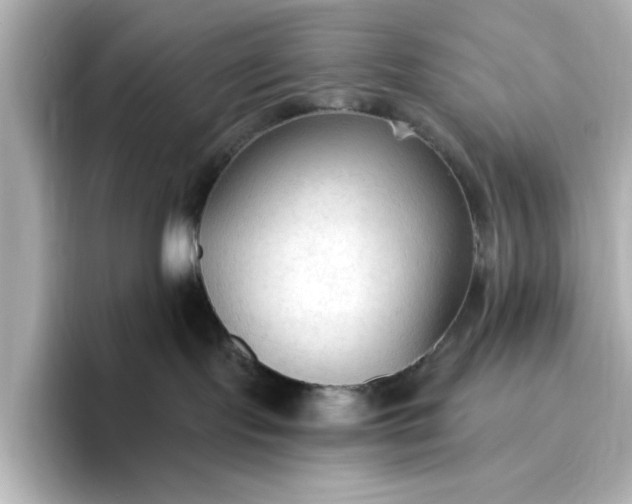 X0000096970095200802221412