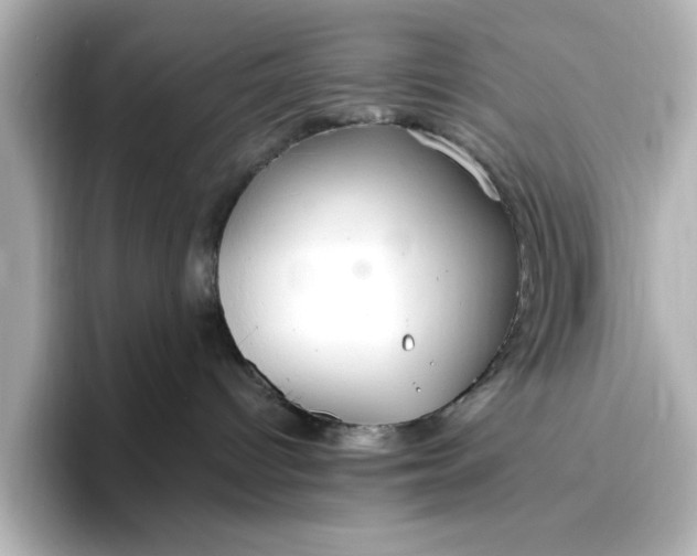 X0000096970096200802221412