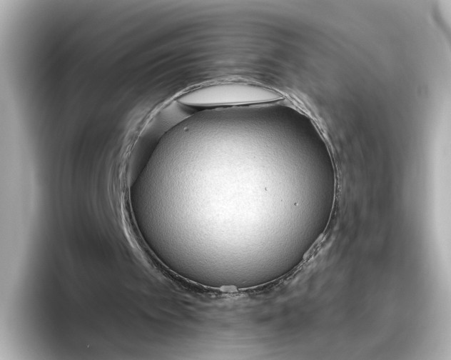 X0000096970097200802221412