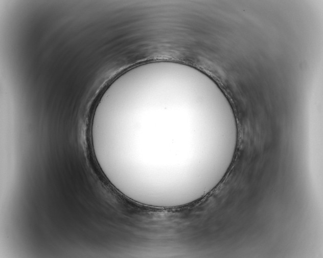 X0000096970098200802221412