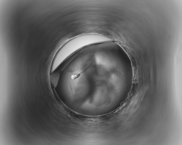 X0000096970099200802221412