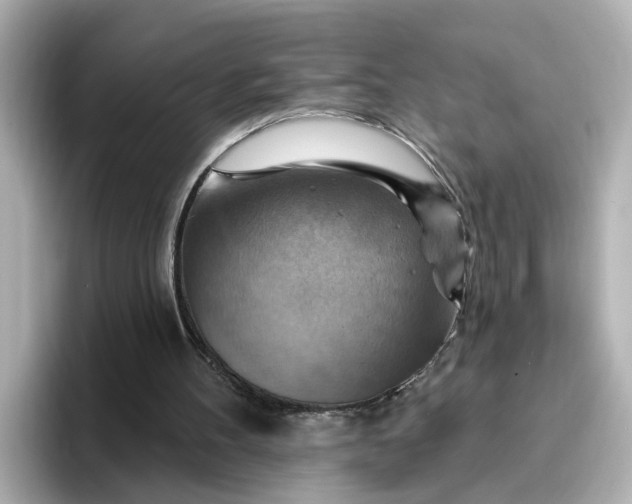 X0000096970100200802221412